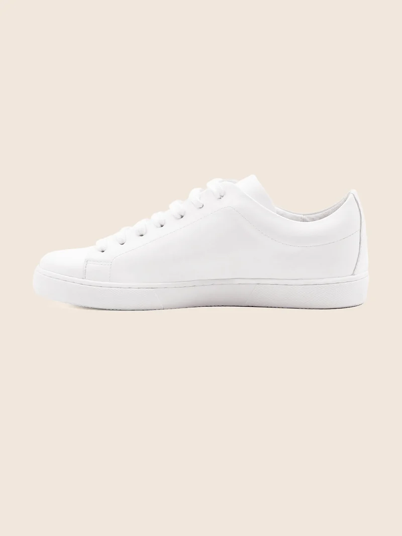 Tennis lacet cuir blanc