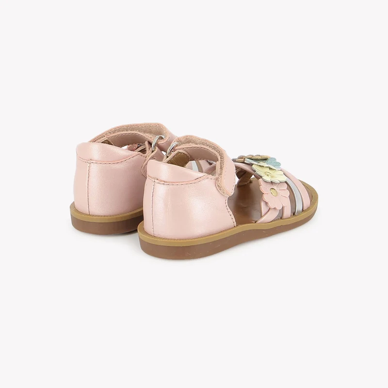 POPPY MULTI FLO - CASIOPEA - ROSE-MUTLI