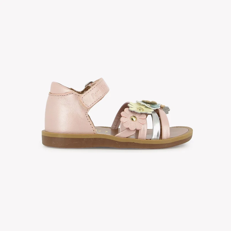 POPPY MULTI FLO - CASIOPEA - ROSE-MUTLI