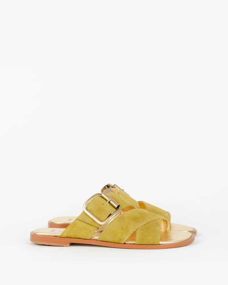 Mules nimal