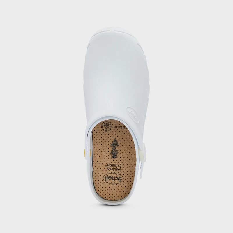 Clog Evo