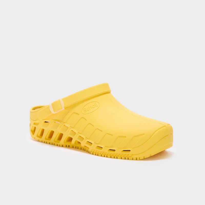 CLOG EVO