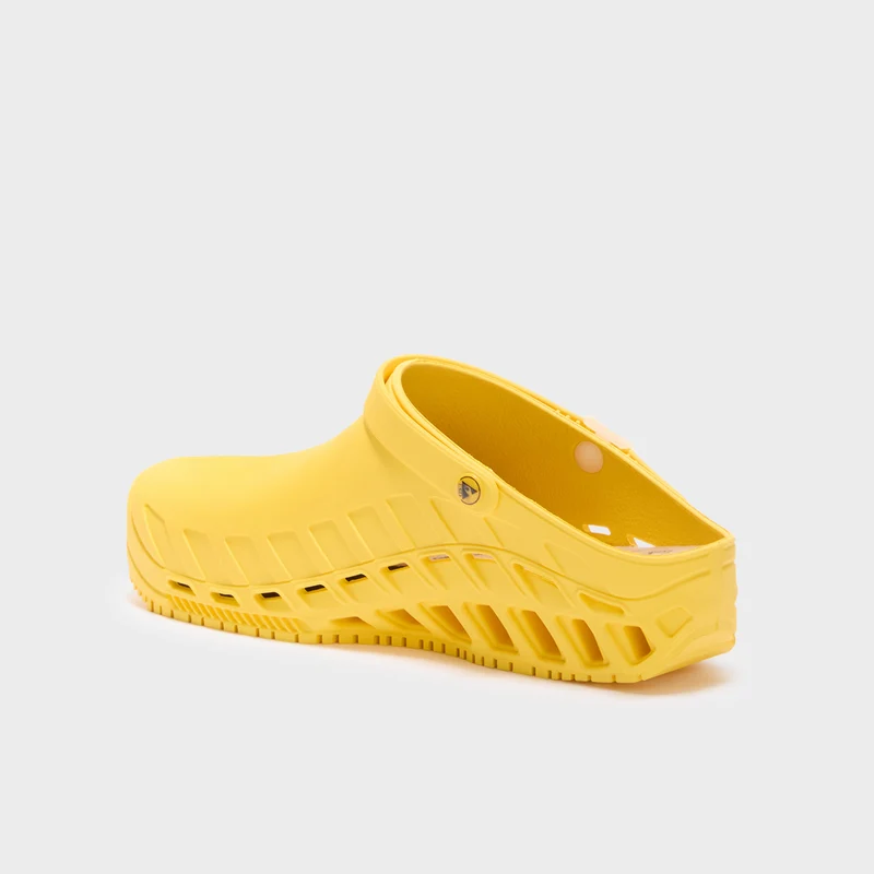 CLOG EVO