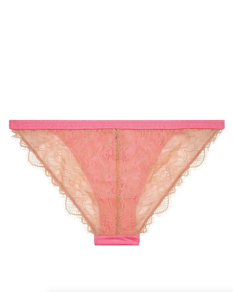 Culotte wild rose love stories