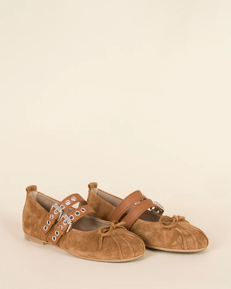 Ballerines kennel and schmenger