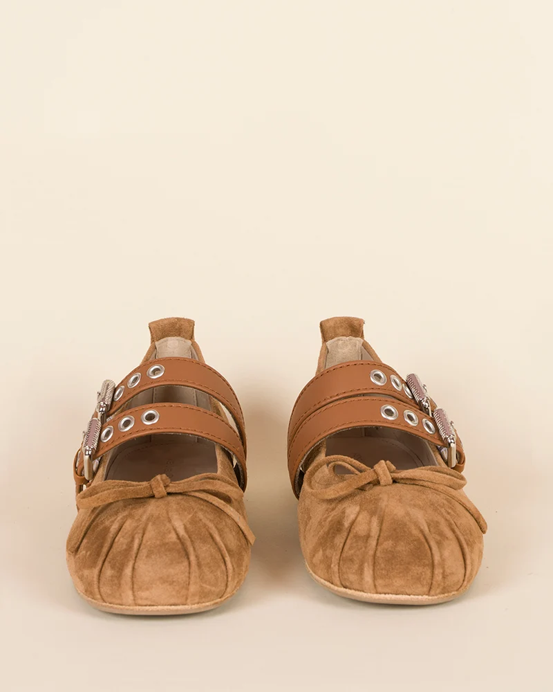 Ballerines kennel and schmenger
