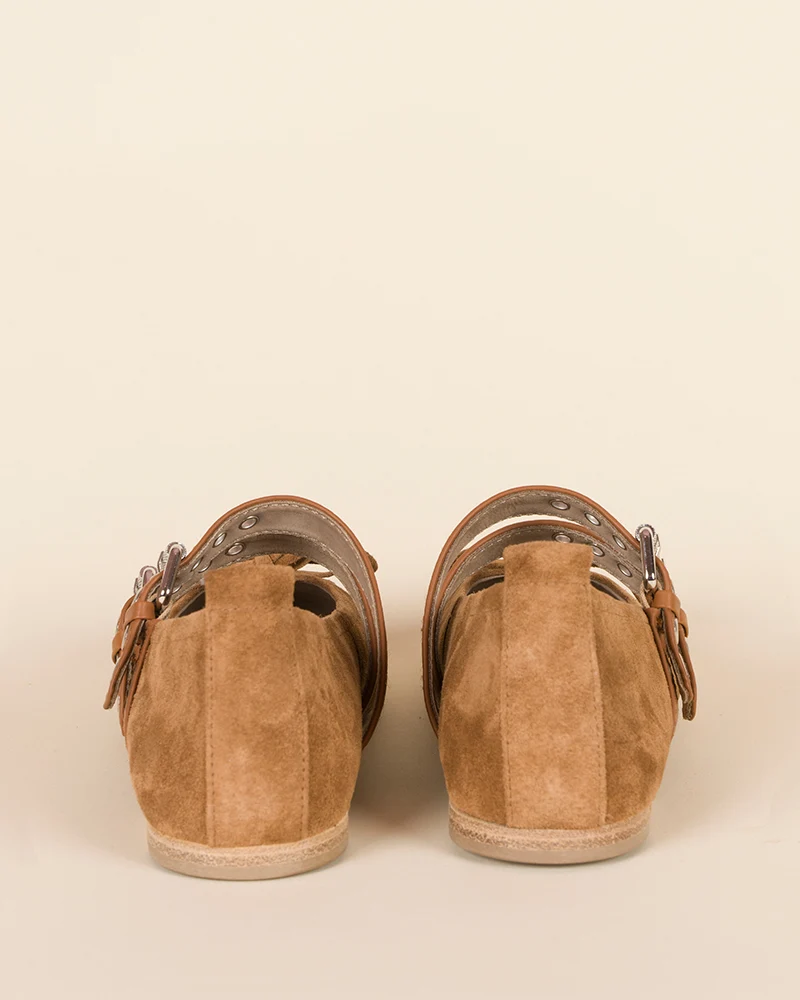 Ballerines kennel and schmenger