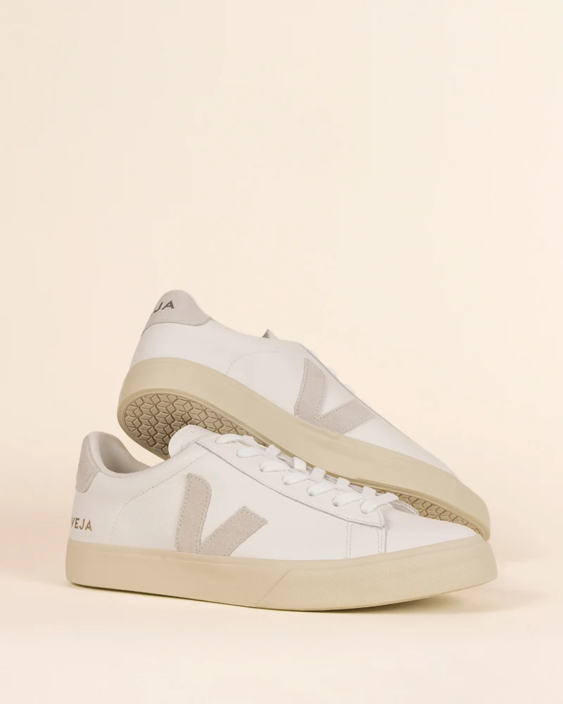 Baskets veja