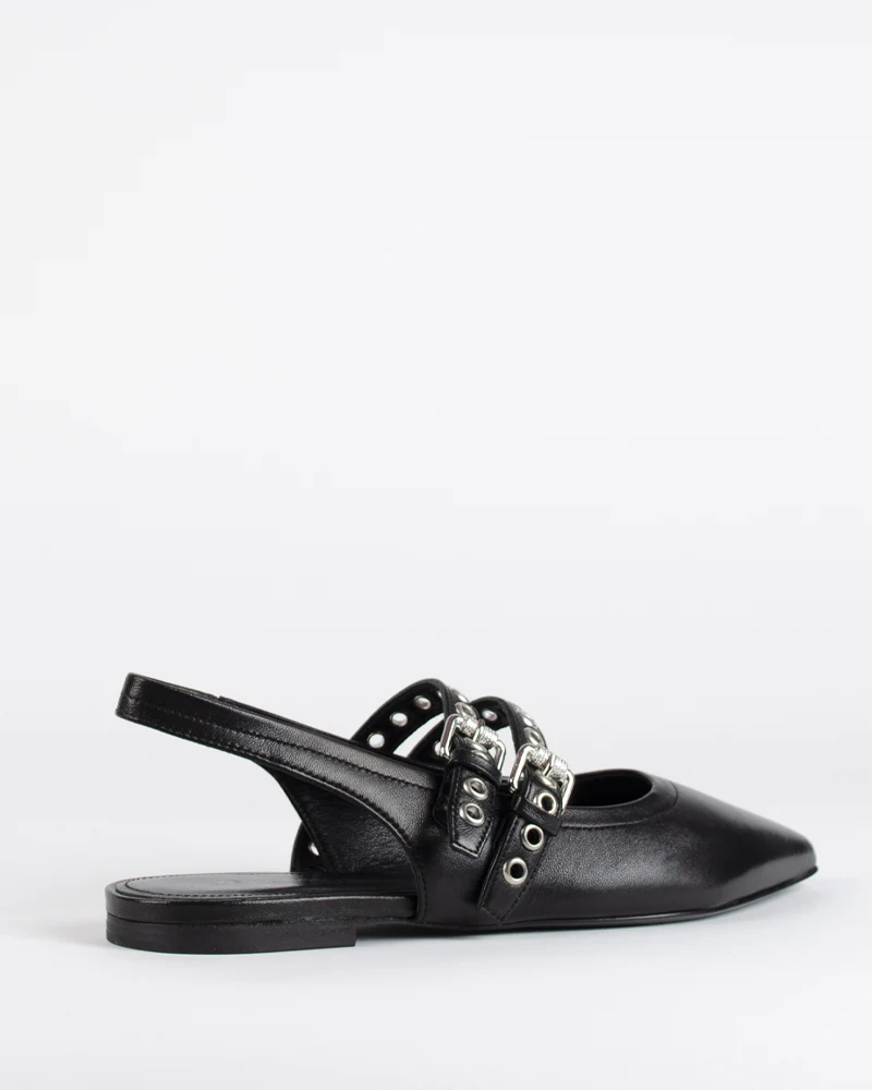 Ballerines kennel and schmenger