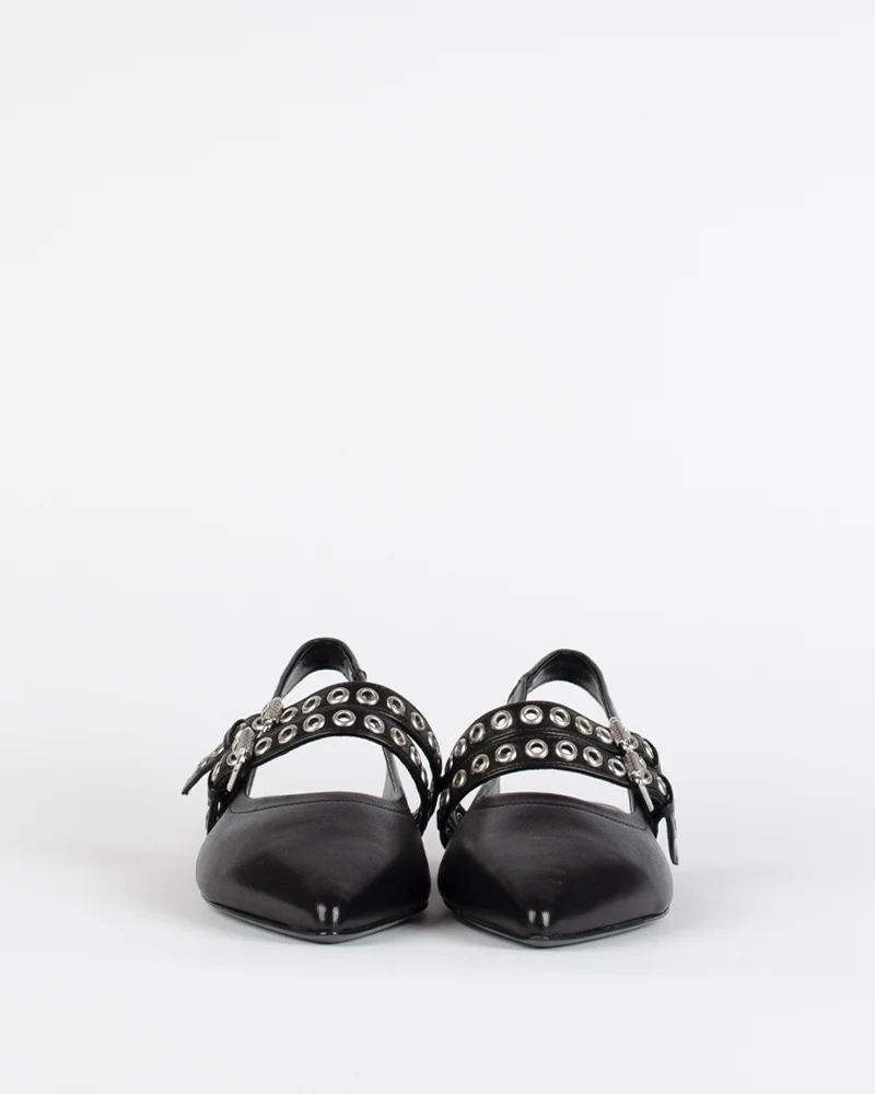 Ballerines kennel and schmenger
