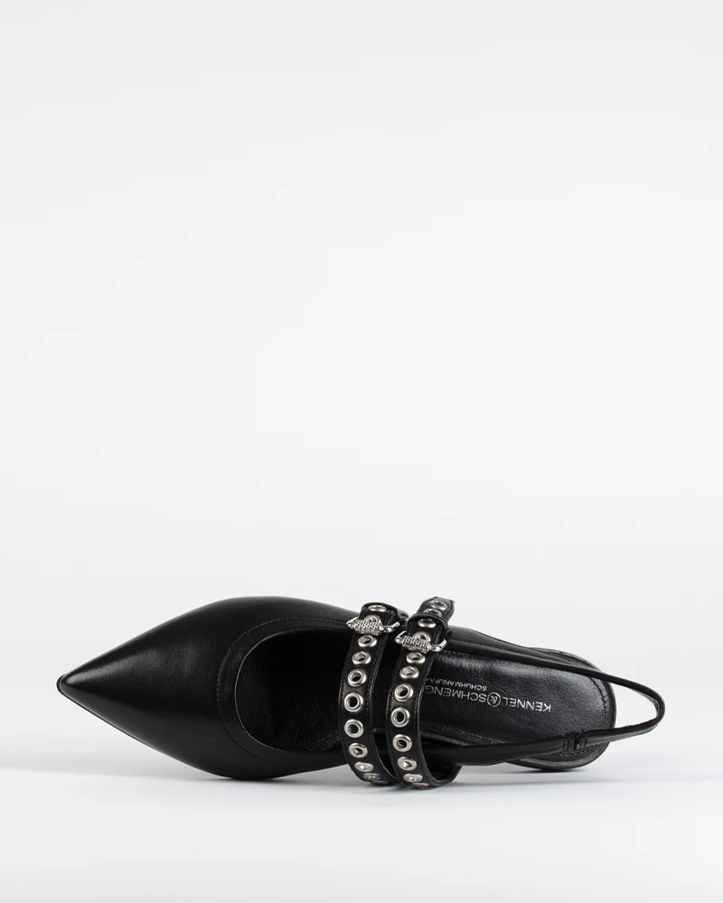 Ballerines kennel and schmenger