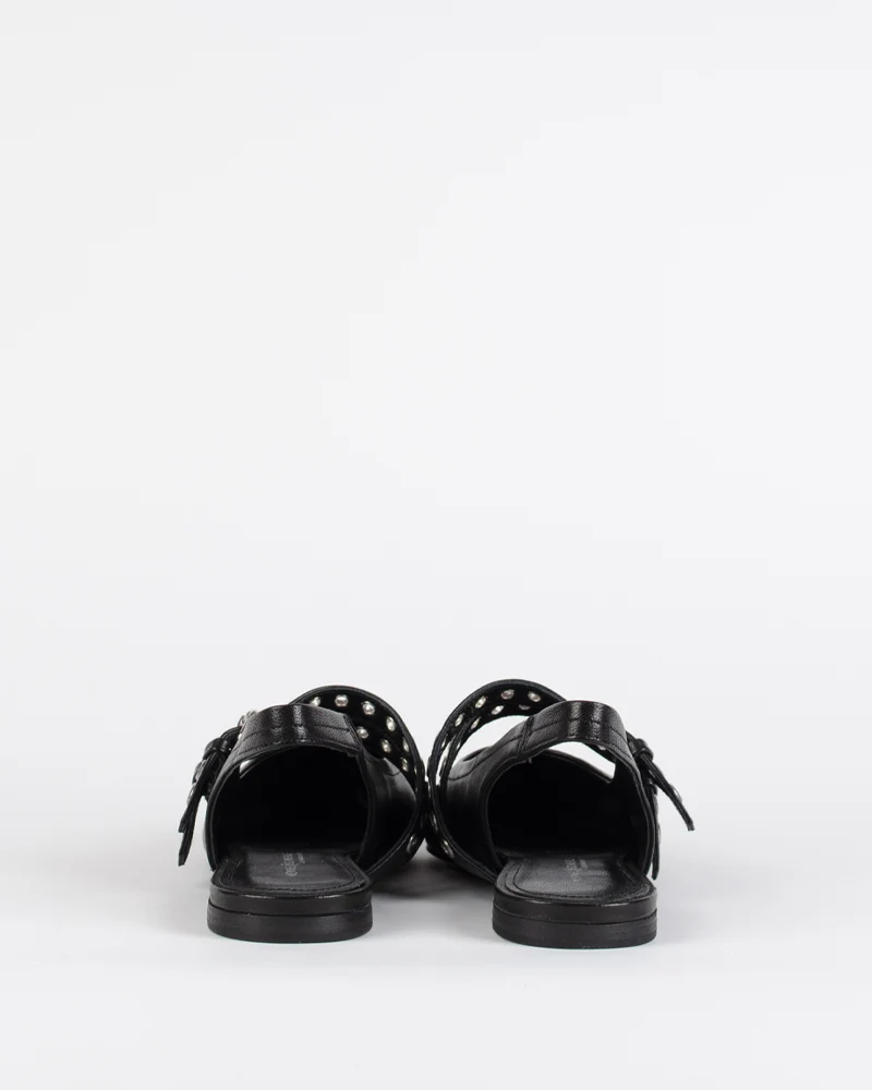Ballerines kennel and schmenger