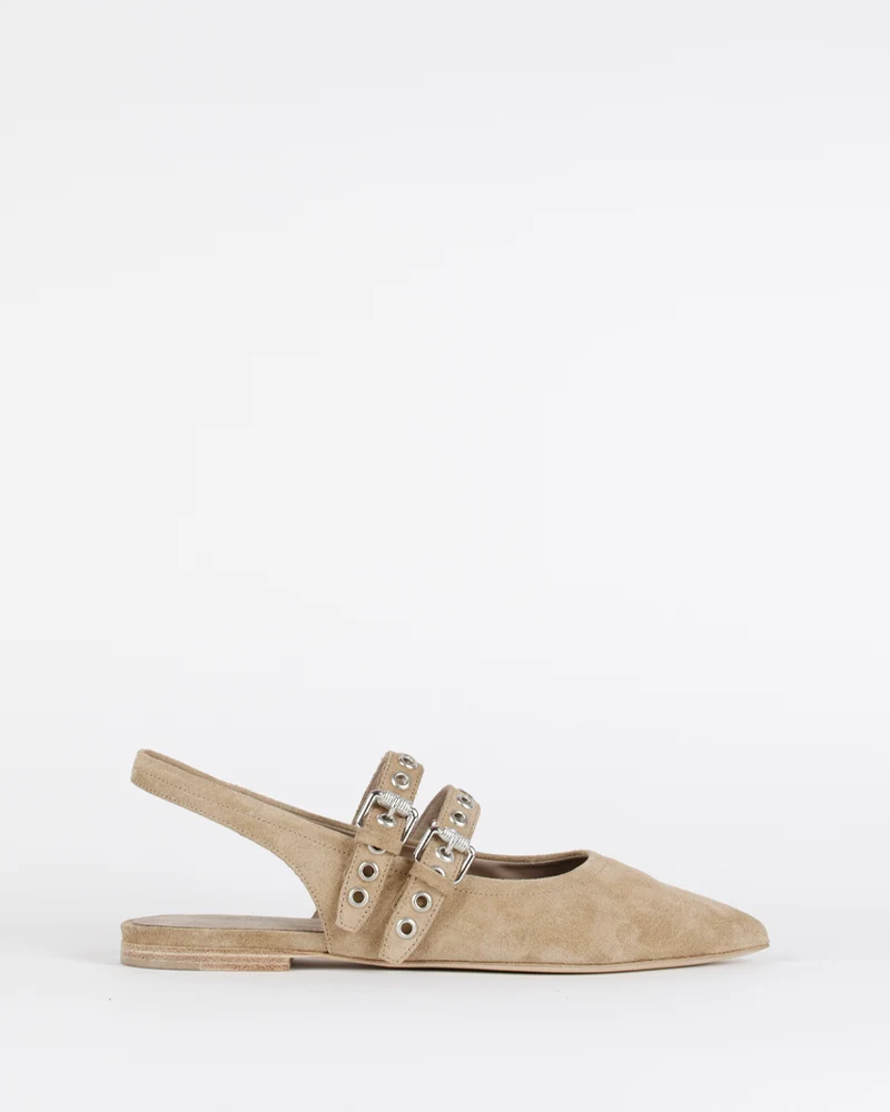 Ballerines kennel and schmenger