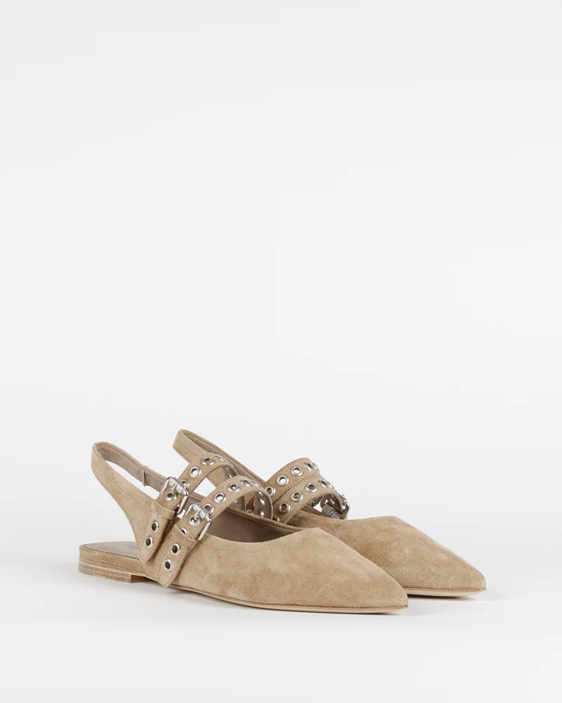 Ballerines kennel and schmenger