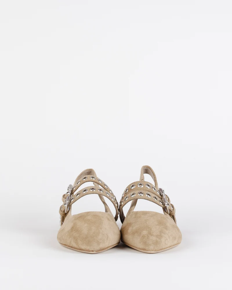 Ballerines kennel and schmenger