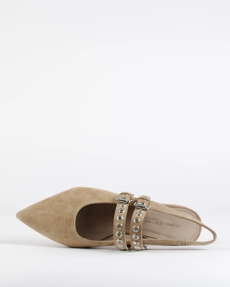 Ballerines kennel and schmenger