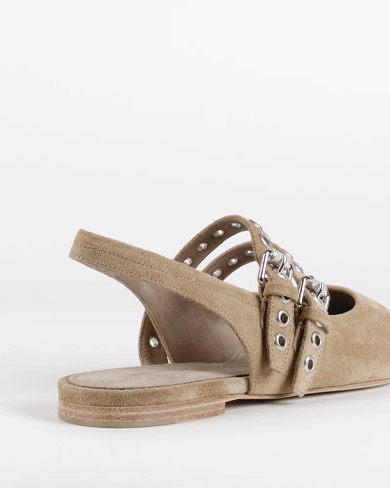 Ballerines kennel and schmenger