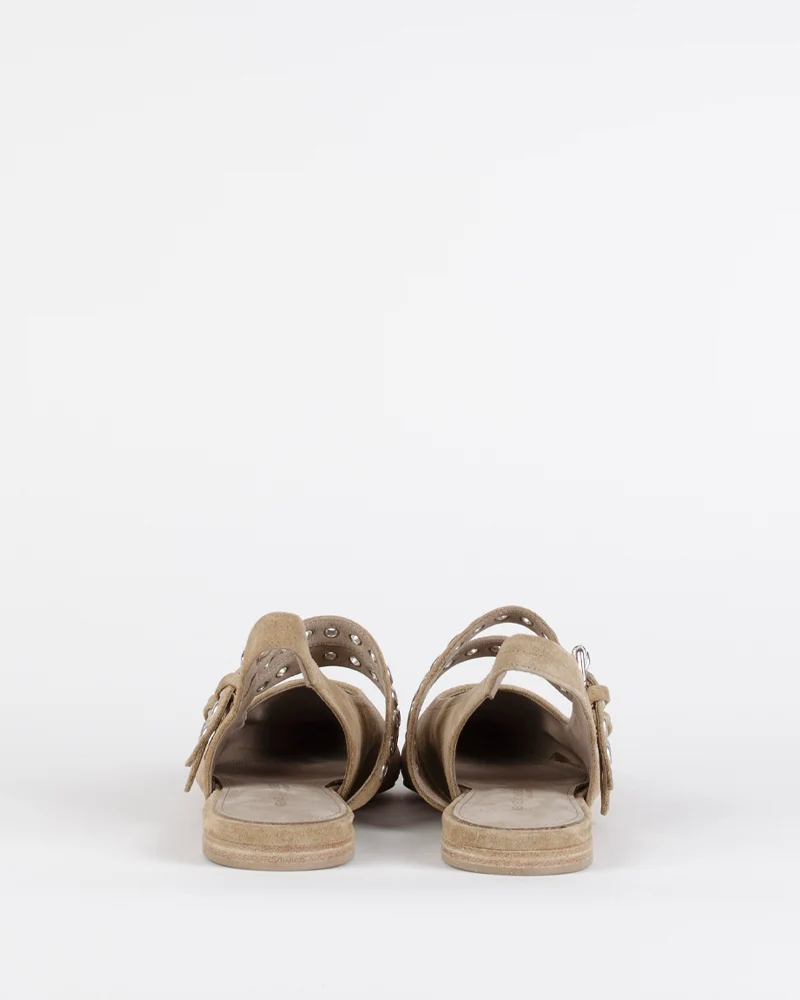 Ballerines kennel and schmenger