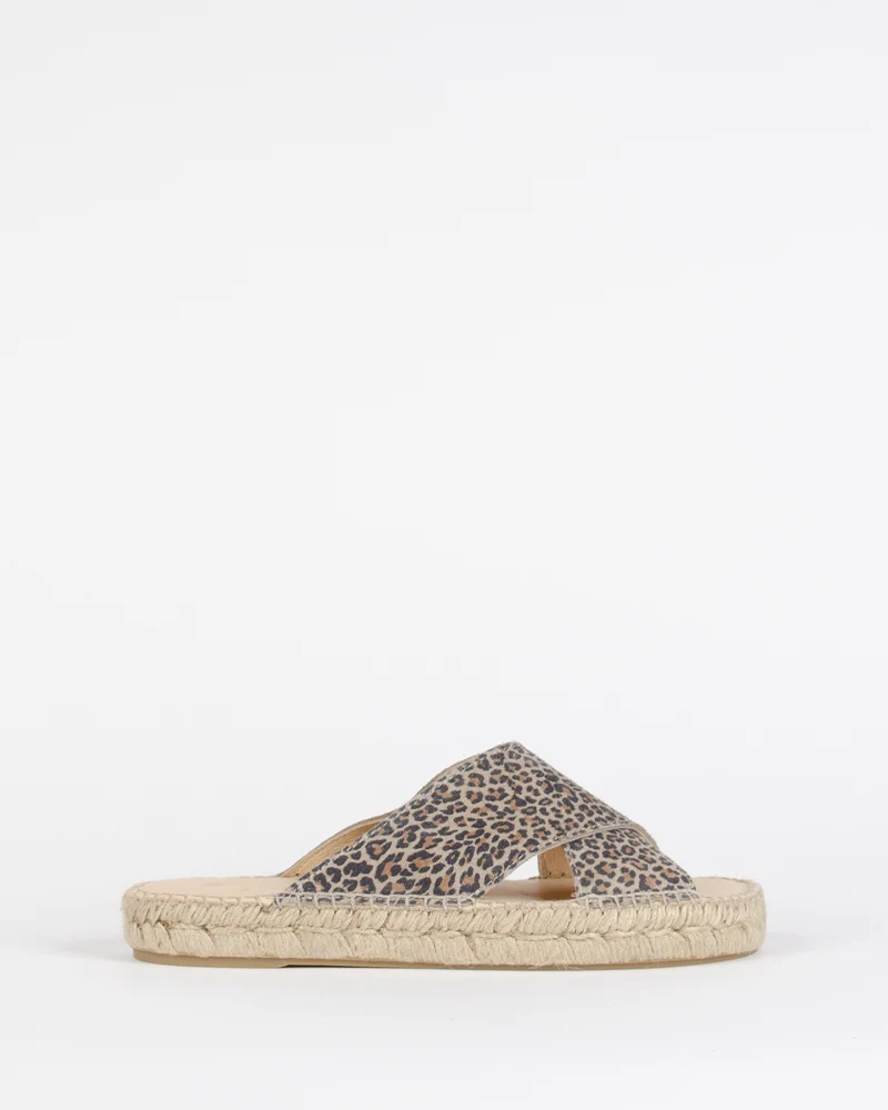 Mule croisee bayona