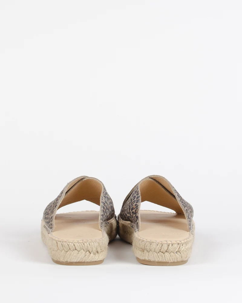 Mule croisee bayona