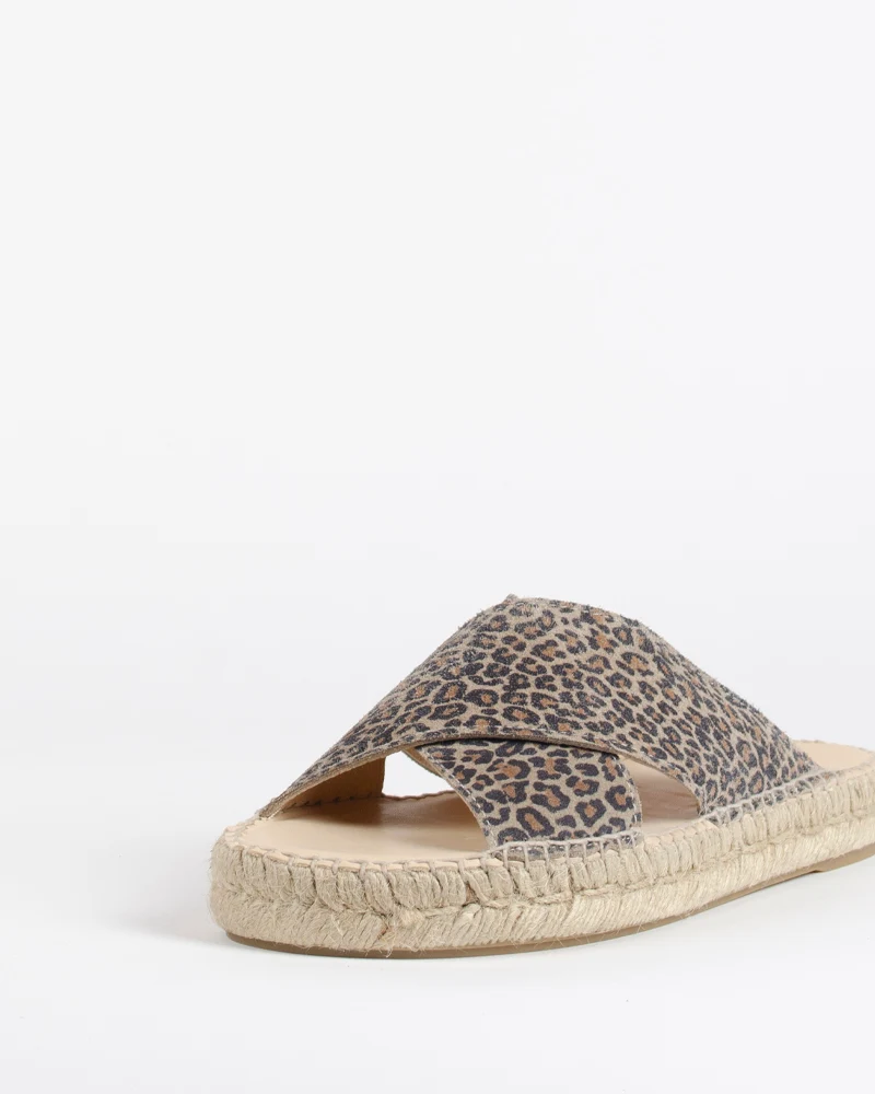 Mule croisee bayona