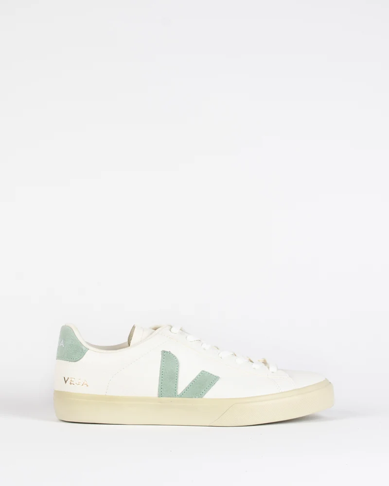 Baskets veja