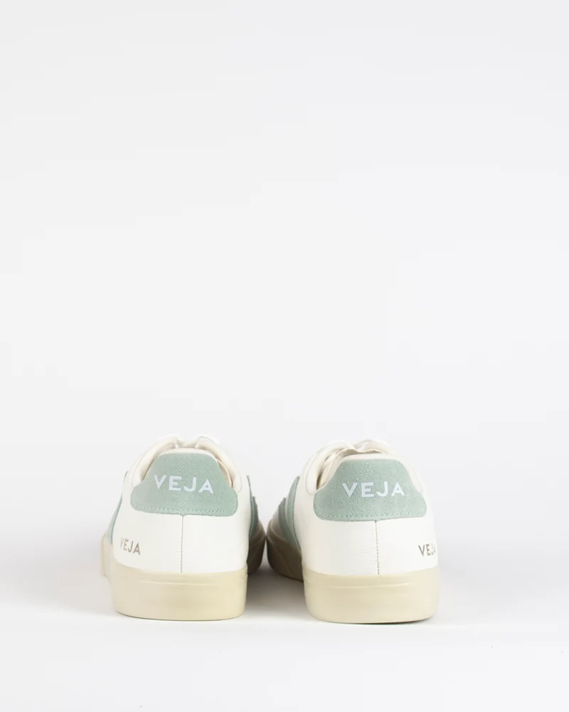 Baskets veja
