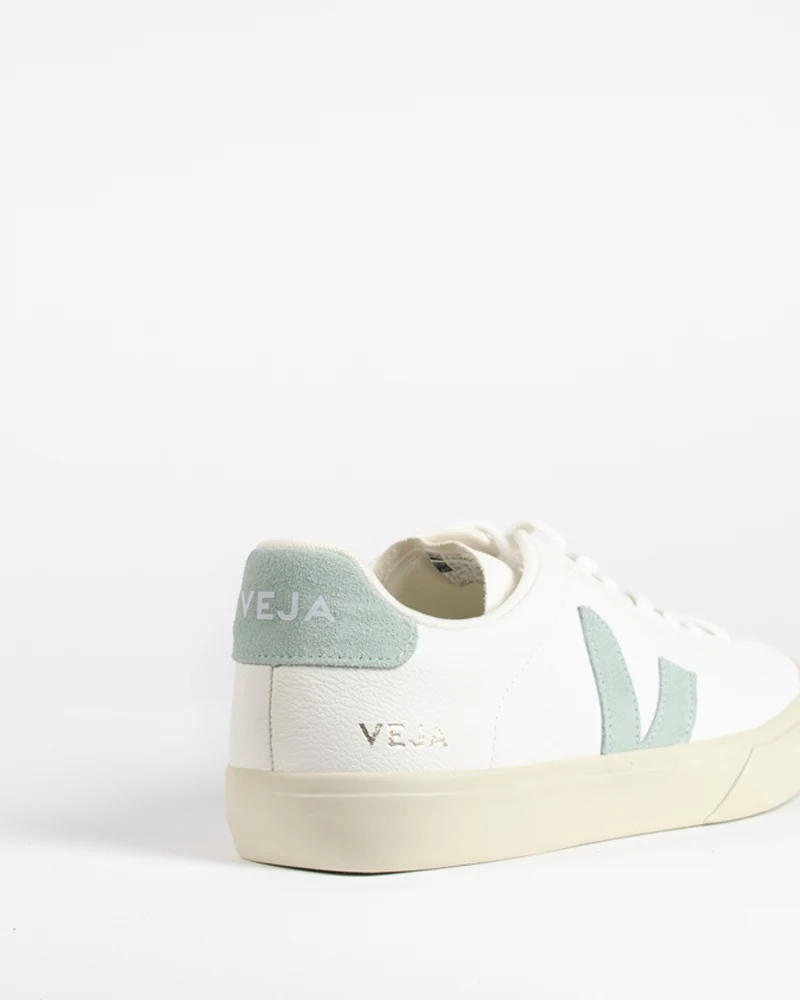 Baskets veja