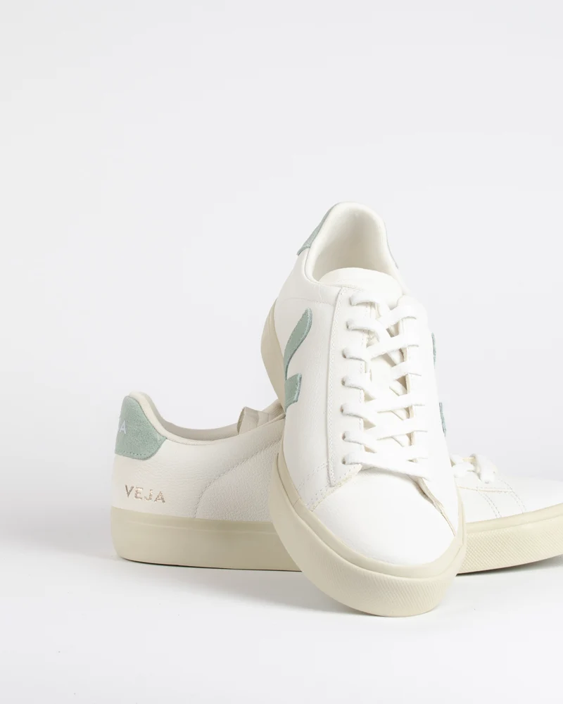 Baskets veja