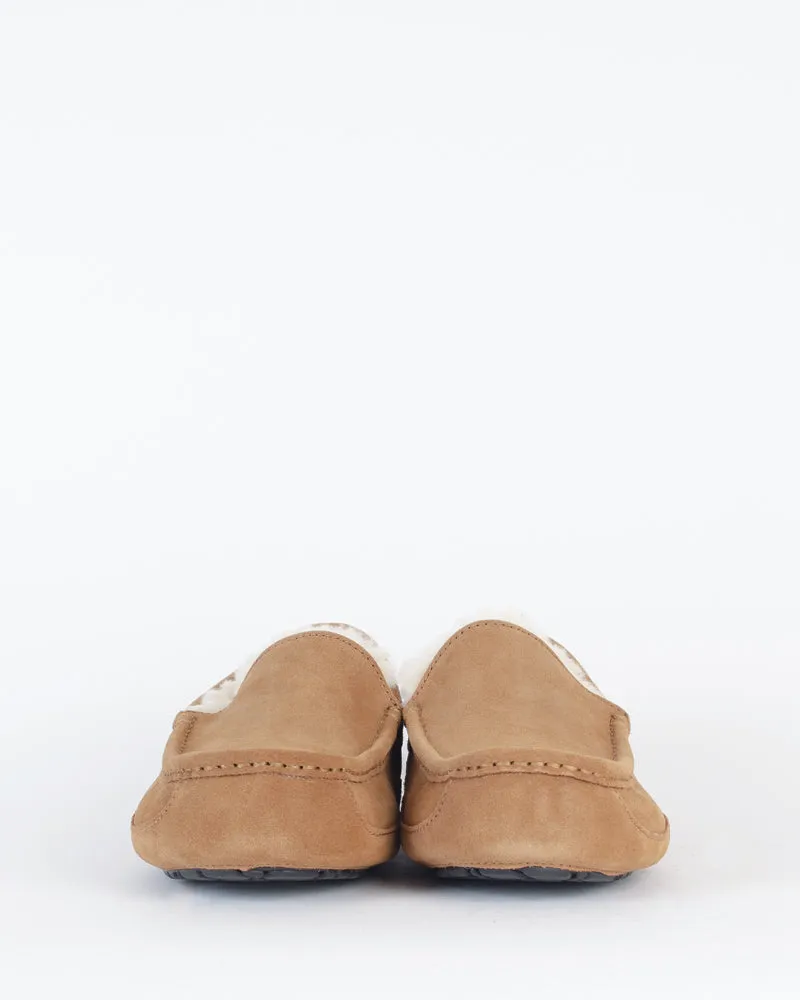 Chausson ascot ugg men