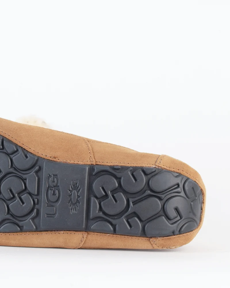 Chausson ascot ugg men