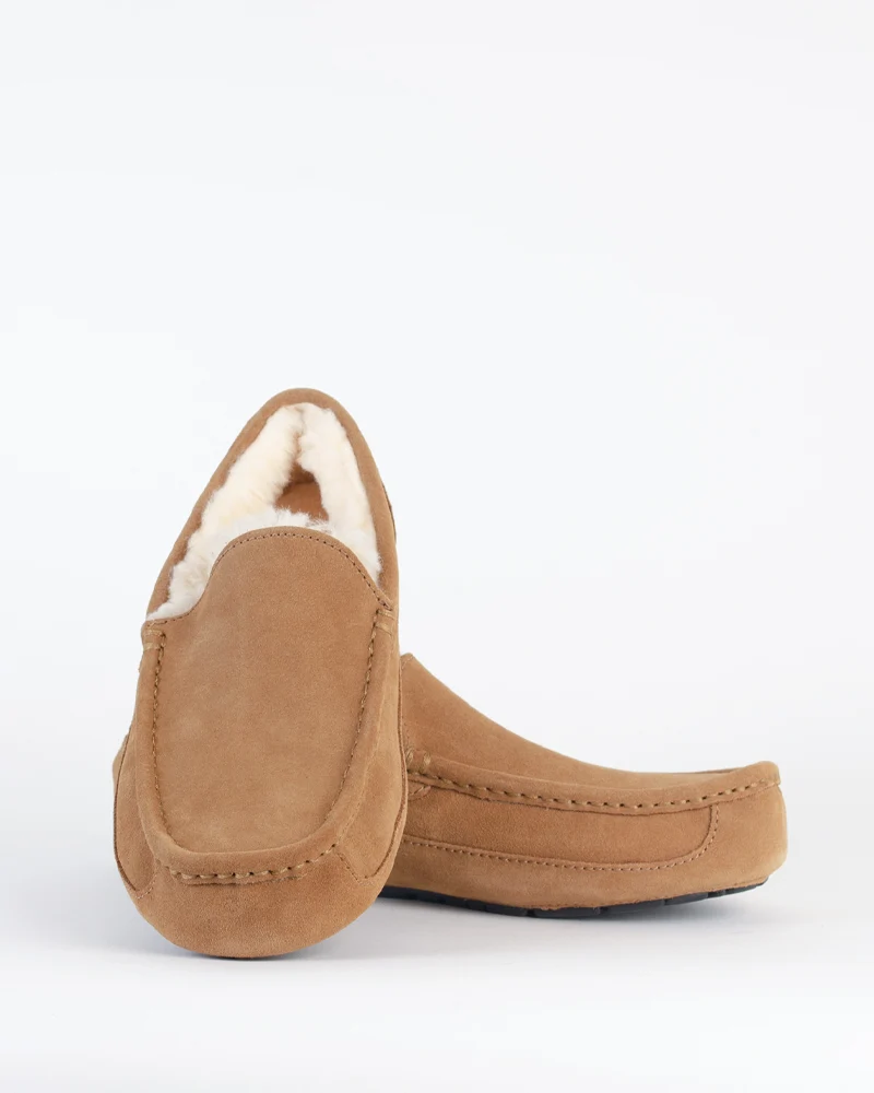 Chausson ascot ugg men